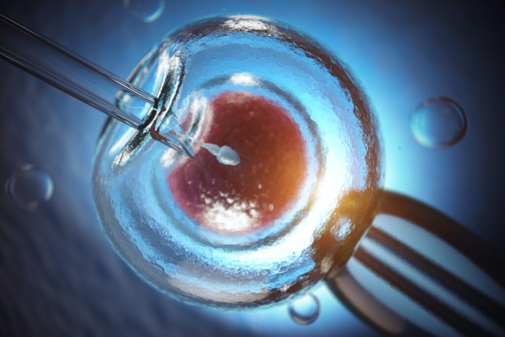 Artificial insemination. Fertilization of human egg cell by sper