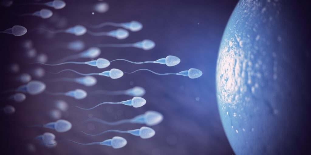 Sperm and egg cell on microscope. Scientific background.
