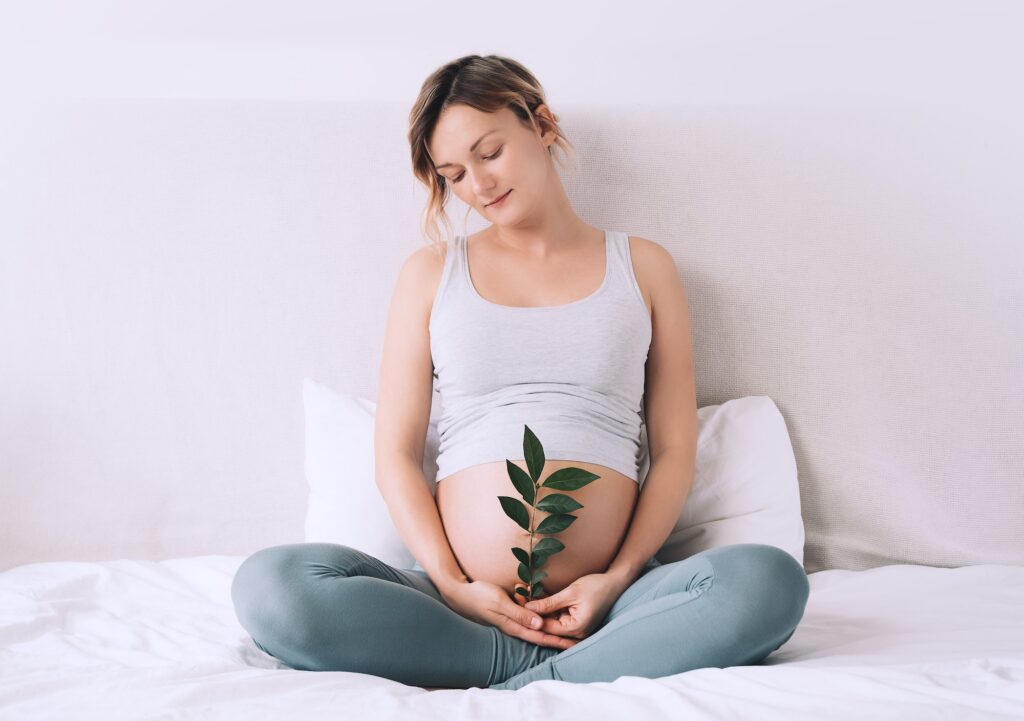 Pregnant woman holds green sprout plant near her belly as symbol of new life, wellbeing, fertility
