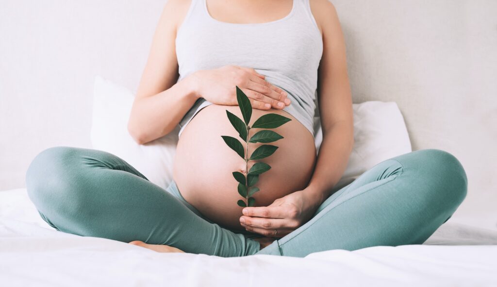 Pregnant woman holds green sprout plant near her belly as symbol of new life, wellbeing, fertility