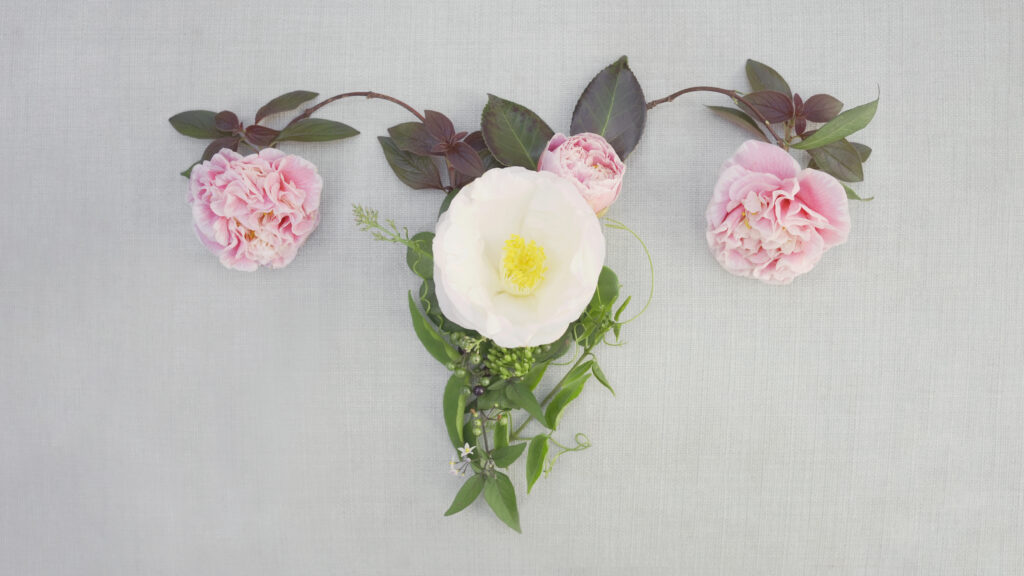Female uterus made from leaves and flowers, reproductive system, woman health concept