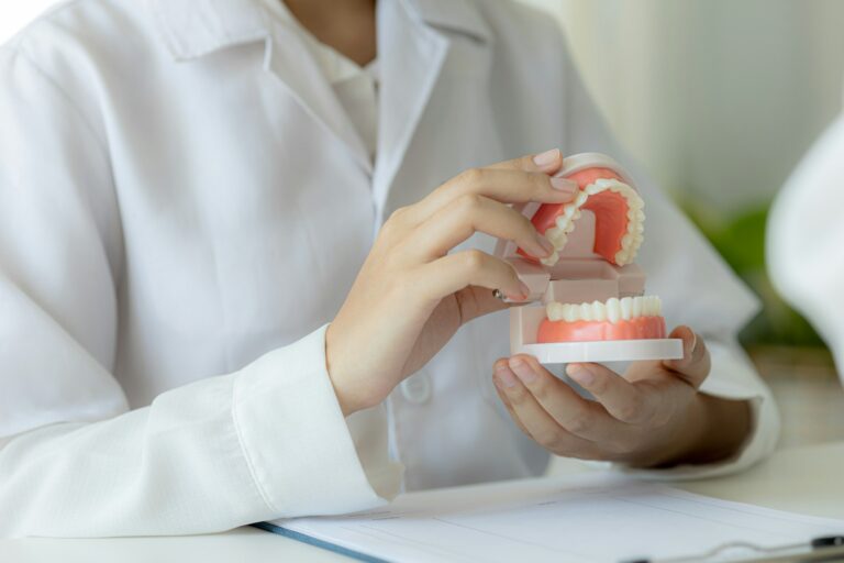 Dentists hold dental models used for dental care consultations.