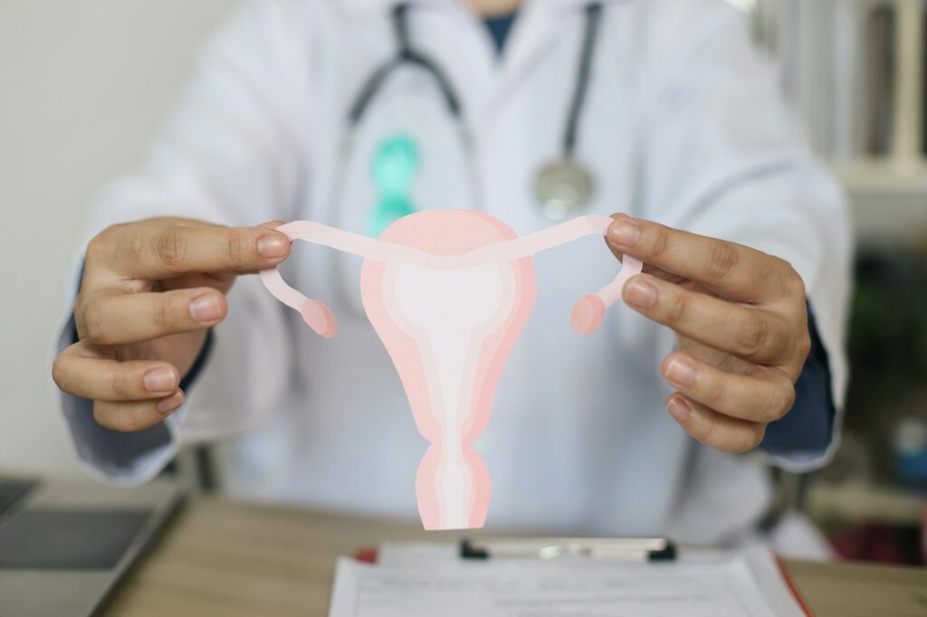 Doctor In White Uniform Holding Ovarian Model